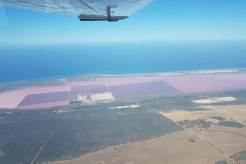 Monkey Mia Dolphins & Shark Bay Air Tour From Perth - Hotel Gold Coast 6