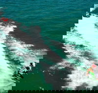 Geraldton Tubing Experience - Hotel Gold Coast