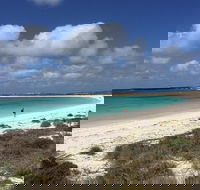 Abrolhos Island Half Day Fly and Flipper - Hotel Gold Coast