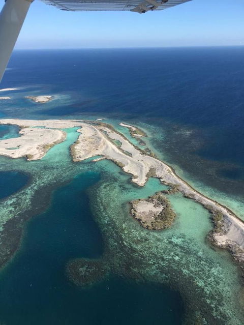 Shipwreck Special Nature Tour/Half Day Tour - Hotel Gold Coast 2