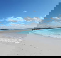 Shipwreck Special Nature Tour/Half Day Tour - Hotel Gold Coast