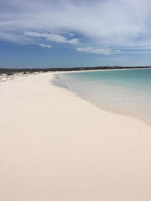 Shipwreck Special Nature Tour/Half Day Tour - Hotel Gold Coast 1