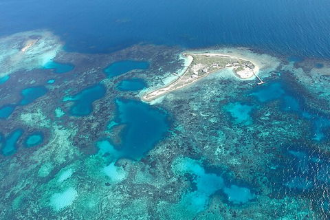 Shipwreck Special Nature Tour/Half Day Tour - Hotel Gold Coast 5