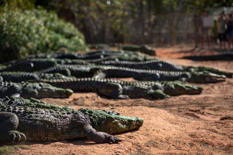 3 In 1 Tour: Matsoâ€™s Brewery, 12 Mile Bird Park & Malcolm Douglas Crocodile Park - Hotel Gold Coast 6