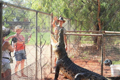 3 In 1 Tour: Matsoâ€™s Brewery, 12 Mile Bird Park & Malcolm Douglas Crocodile Park - Hotel Gold Coast 15