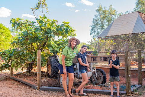 3 In 1 Tour: Matsoâ€™s Brewery, 12 Mile Bird Park & Malcolm Douglas Crocodile Park - Hotel Gold Coast 10