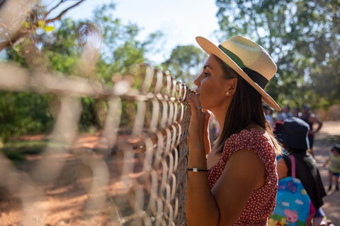 3 In 1 Tour: Matsoâ€™s Brewery, 12 Mile Bird Park & Malcolm Douglas Crocodile Park - Hotel Gold Coast 12