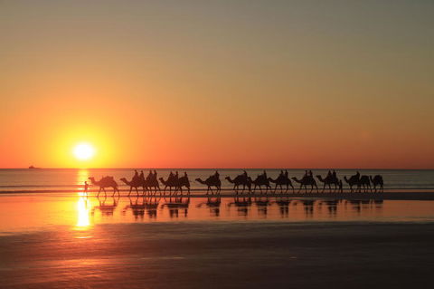Broome City Sightseeing Tour With Optional Camel Ride - Hotel Gold Coast 2