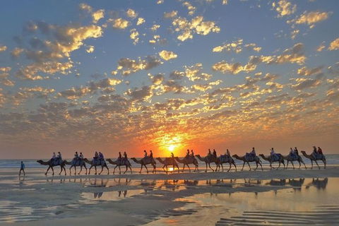 Broome City Sightseeing Tour With Optional Camel Ride - Hotel Gold Coast 0