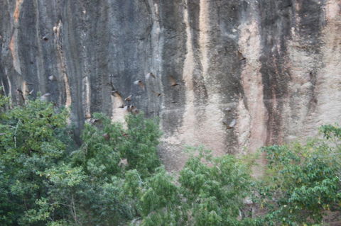 Windjana Gorge And Tunnel Creek 4WD Tour From Broome - Hotel Gold Coast 2