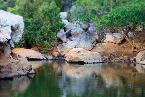 Windjana Gorge And Tunnel Creek 4WD Tour From Broome - Hotel Gold Coast 17