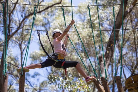 Busselton High Ropes And Zipline Adventure - Hotel Gold Coast 1