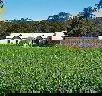 Upper Reach Winery Swan Valley Winery and Vineyard Tour - Hotel Gold Coast