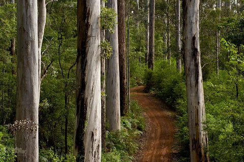 Albany Southwest Wilderness Day Tour - Fly From Perth - Hotel Gold Coast 6