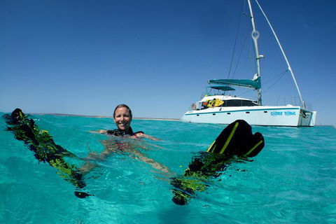 3 Night Ningaloo Reef Snorkel And Dive Getaway From Coral Bay - Hotel Gold Coast 1