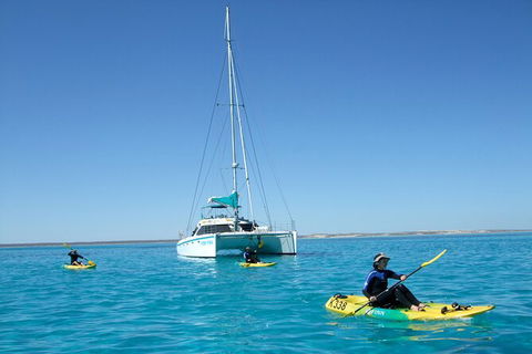 3 Night Ningaloo Reef Snorkel And Dive Getaway From Coral Bay - Hotel Gold Coast 7