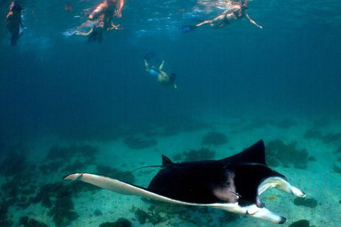 3 Night Ningaloo Reef Snorkel And Dive Getaway From Coral Bay - Hotel Gold Coast 6