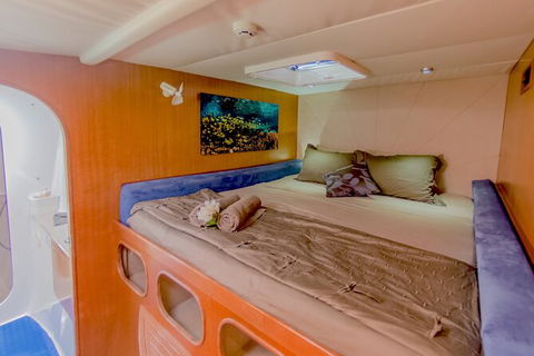 3 Night Ningaloo Reef Snorkel And Dive Getaway From Coral Bay - Hotel Gold Coast 8