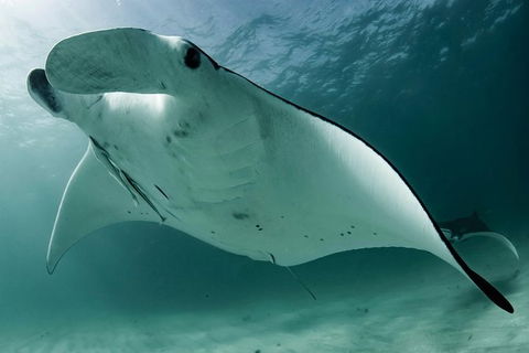 6-Day Coral Coaster From Perth To Exmouth One-Way Via Monkey Mia Ningaloo Reef - Hotel Gold Coast 1