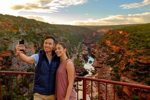 6-Day Coral Coaster From Perth To Exmouth One-Way Via Monkey Mia Ningaloo Reef - Hotel Gold Coast 8