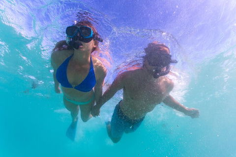 6-Day Coral Coaster From Perth To Exmouth One-Way Via Monkey Mia Ningaloo Reef - Hotel Gold Coast 2
