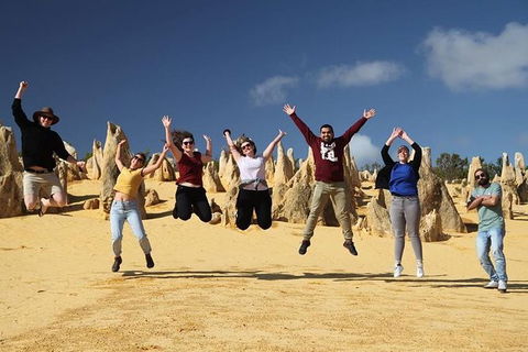 6-Day Coral Coaster From Perth To Exmouth One-Way Via Monkey Mia Ningaloo Reef - Hotel Gold Coast 4