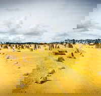 1 Day Pinnacles Wildlife  Sandboarding - Hotel Gold Coast