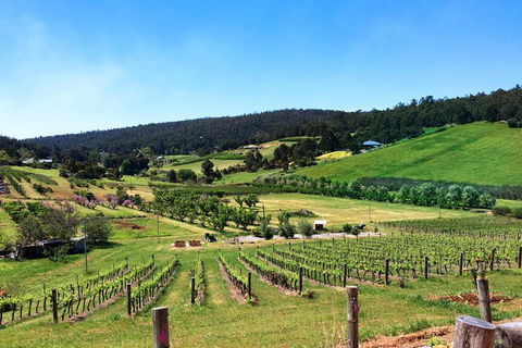 Cider, Wine & Cheese In The Perth Hills - Half-Day Premium Small Group Tour - Hotel Gold Coast 1