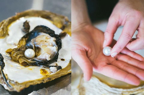 Pearl Master Class â€“ Perth - Hotel Gold Coast 1