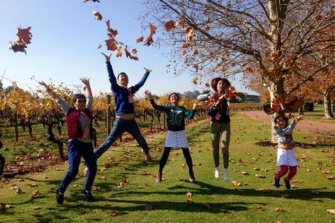 Swan Valley Half-Day Food And Wine Tasting Tour - Hotel Gold Coast 8