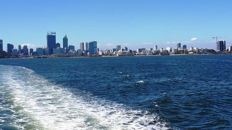 Swan River Scenic Cruise - Hotel Gold Coast 2
