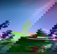 Guided Jet Ski and Snorkel Tour of Champion Bay - Hotel Gold Coast