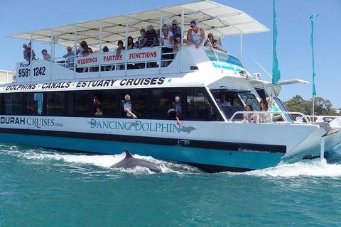 Mandurah Dolphin And Scenic Marine Cruise - Hotel Gold Coast 1