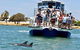 Mandurah Dolphin And Scenic Marine Cruise - thumb 2
