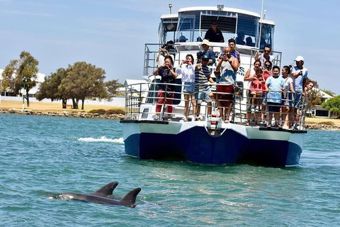 Mandurah Dolphin And Scenic Marine Cruise - Hotel Gold Coast 2