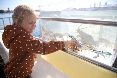 Mandurah Dolphin And Scenic Marine Cruise - Hotel Gold Coast 5