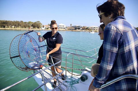 Mandurah Dolphin And Scenic Marine Cruise - Hotel Gold Coast 16