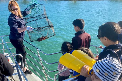 Mandurah Dolphin And Scenic Marine Cruise - Hotel Gold Coast 18