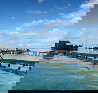 Full Day Guided Abrolhos Fly and Flipper Tour from Geraldton - Hotel Gold Coast