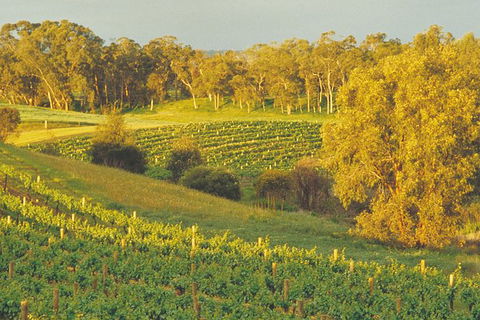 Swan Valley Private Tour - Hotel Gold Coast 0