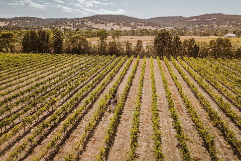 Small Group Swan Valley Premium Winelovers Experience - Hotel Gold Coast 3