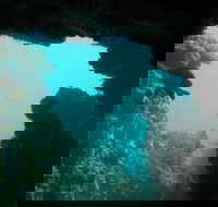 Half-Day Abrolhos Islands Shipwreck Air and Land Tour from Geraldton - Hotel Gold Coast