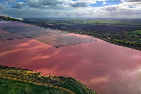 Kalbarri, Pink Lake And Abrolhos Islands Nature Tour - Hotel Gold Coast 3