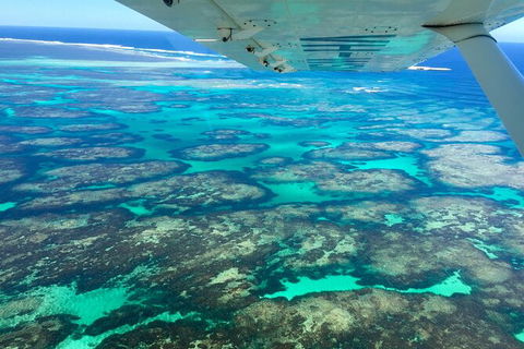 Kalbarri, Pink Lake And Abrolhos Islands Nature Tour - Hotel Gold Coast 5