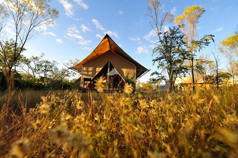 APT Kimberley Wilderness Adventures Purnululu (Bungle Bungle) 4WD Experience - Hotel Gold Coast 10