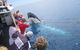 Busselton Whale Watching Eco Tour - thumb 1