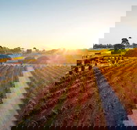 Mandoon Estate VIP Underground - Hotel Gold Coast
