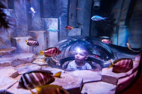 SEA LIFE Melbourne Aquarium Admission Ticket - Hotel Gold Coast 0