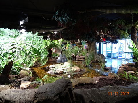 SEA LIFE Melbourne Aquarium Admission Ticket - Hotel Gold Coast 2