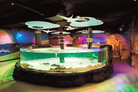 SEA LIFE Melbourne Aquarium Admission Ticket - Hotel Gold Coast 27